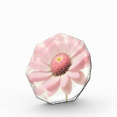 Pink Daisy Floral Design Fotoblock (Links)