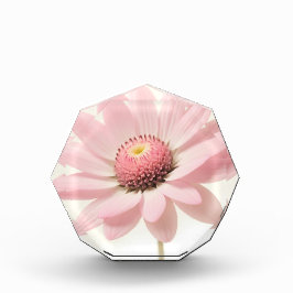 Pink Daisy Floral Design Fotoblock