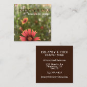 Pink Daisy Foto Landscaper Garden Wildblume Quadratische Visitenkarte (Vorne/Hinten)