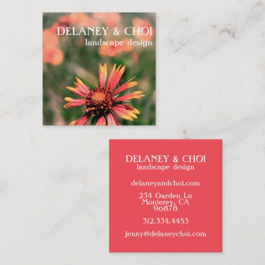 Pink Daisy Foto Landscaper Garden Wildblume Quadratische Visitenkarte (Vorne/Hinten)