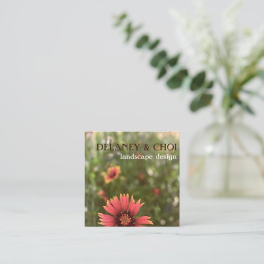 Pink Daisy Foto Landscaper Garden Wildblume Quadratische Visitenkarte (Stehend Vorderseite)