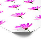 Pink Daisy Fotodruck (Ecke)