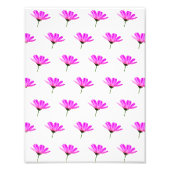 Pink Daisy Fotodruck (Vorne)