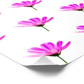 Pink Daisy Fotodruck (Ecke)