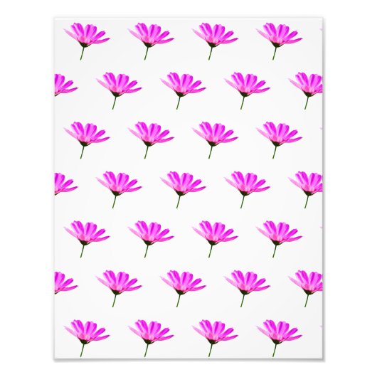 Pink Daisy Fotodruck (Vorne)