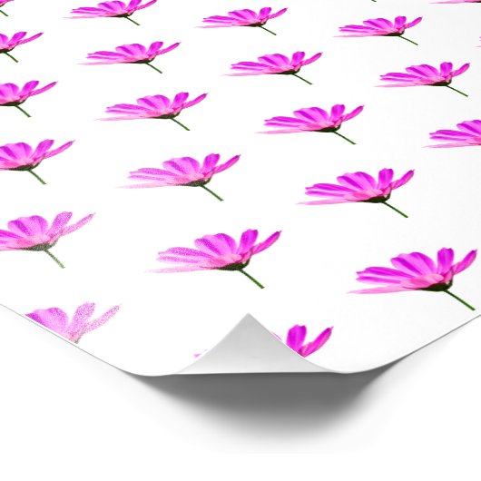 Pink Daisy Fotodruck (Ecke)