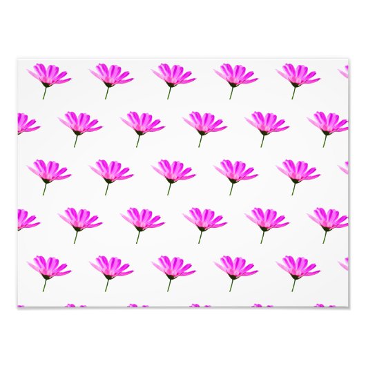 Pink Daisy Fotodruck (Vorne)