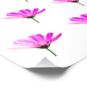 Pink Daisy Fotodruck (Ecke)