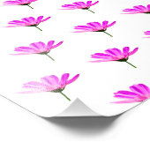 Pink Daisy Fotodruck (Ecke)