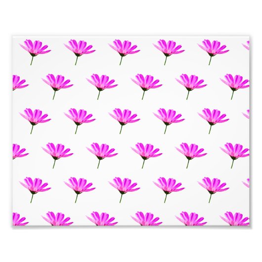 Pink Daisy Fotodruck (Vorne)