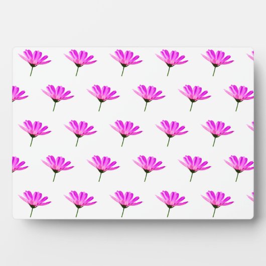 Pink Daisy Fotoplatte (Vorderseite)