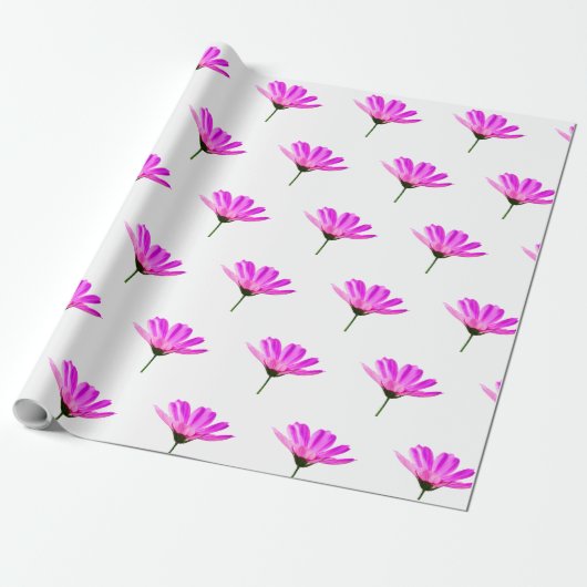 Pink Daisy Geschenkpapier (Ungerollt)