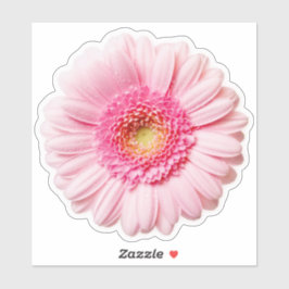 Pink Daisy Hübsch Sticker