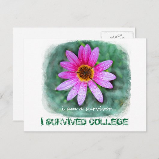 Pink Daisy Ich bin ein Überlebender Postkarte (Vorne/Hinten)