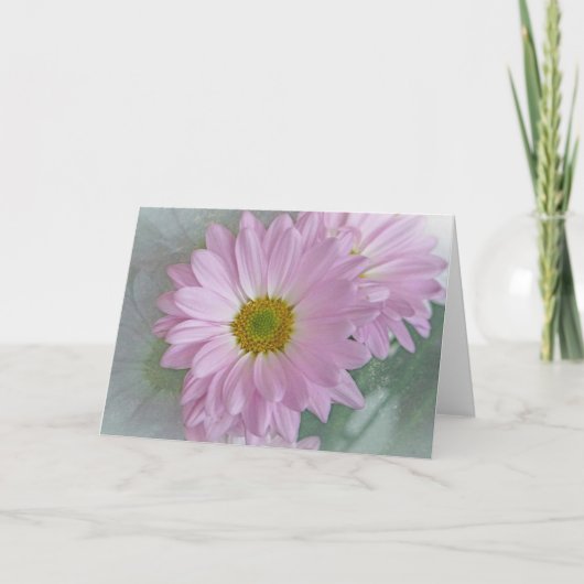 Pink Daisy Karte (Vorderseite)