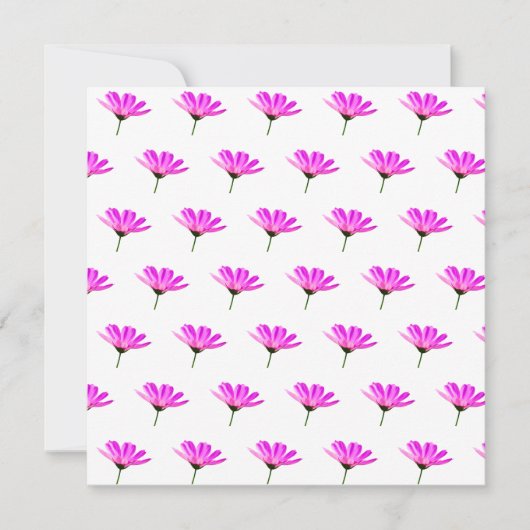 Pink Daisy Karte (Vorderseite)