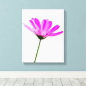 Pink Daisy Leinwanddruck (Insitu (Holzboden))