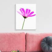 Pink Daisy Leinwanddruck (Insitu (Wohnzimmer))