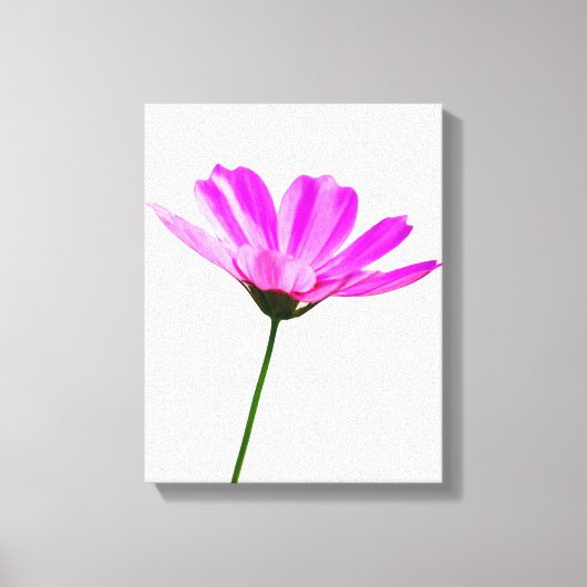 Pink Daisy Leinwanddruck (Vorderseite)