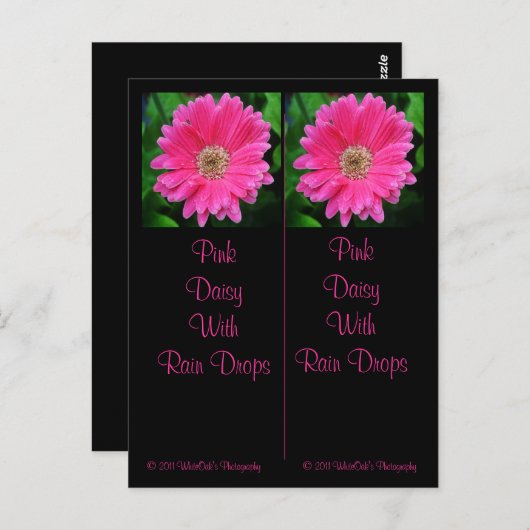 Pink Daisy Lesezeichen Postkarte (Vorne/Hinten)