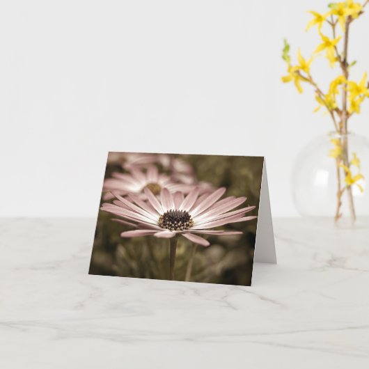Pink Daisy Macro Notecard Karte (Gelbe Blume)