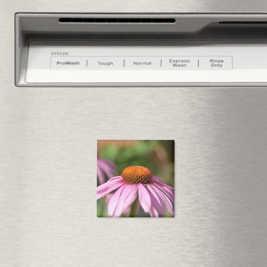 Pink Daisy Magnet (In Situ (Geschirrspüler))