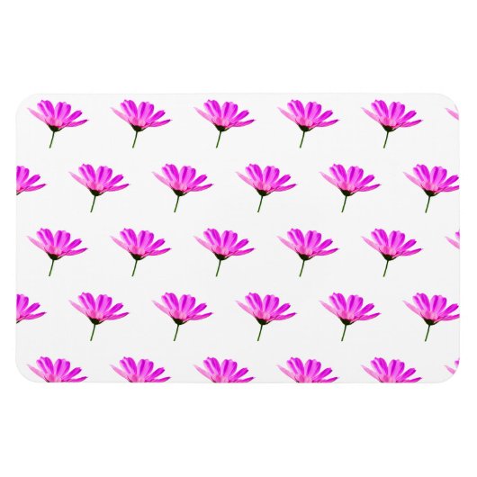 Pink Daisy Magnet (Horizontal)