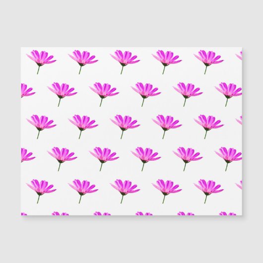 Pink Daisy Magnetkarte (Vorderseite)
