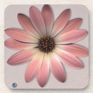 Pink Daisy - Mink Leder Textur Bild Hintergrund Getränkeuntersetzer