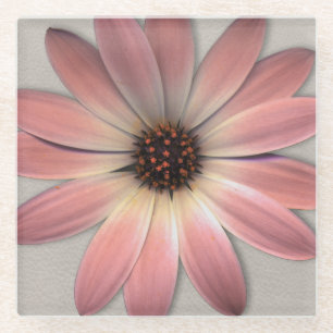 Pink Daisy - Mink Leder Textur Bild Hintergrund Glasuntersetzer