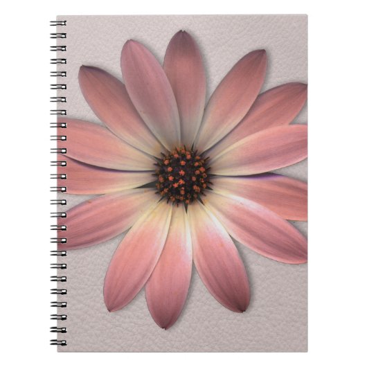 Pink Daisy - Mink Leder Textur Bild Hintergrund Notizblock (Vorderseite)
