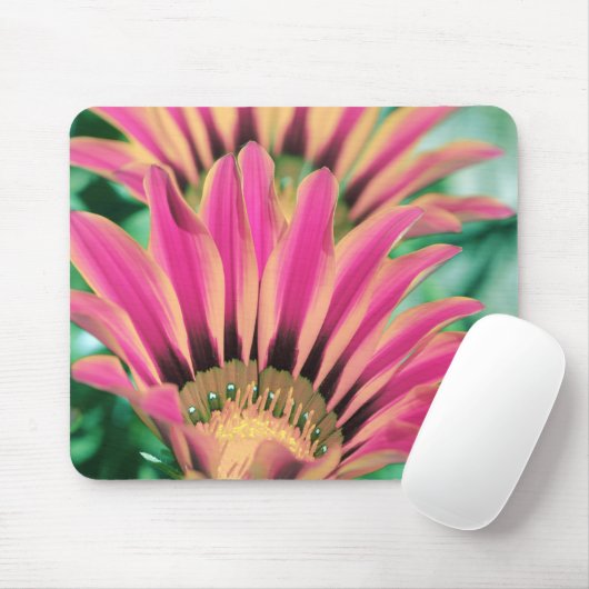 Pink Daisy Petals Mousepad (Mit Mouse)