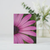Pink Daisy Postcard Postkarte (Stehend Vorderseite)
