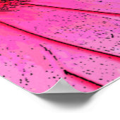 Pink Daisy Poster (Ecke)