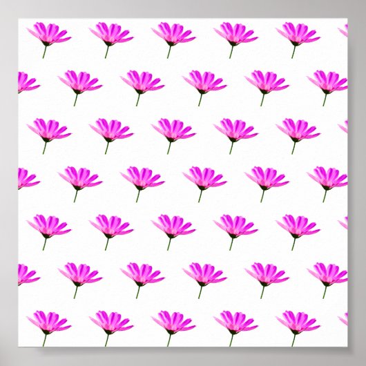 Pink Daisy Poster (Vorne)
