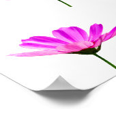 Pink Daisy Poster (Ecke)