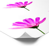 Pink Daisy Poster (Ecke)