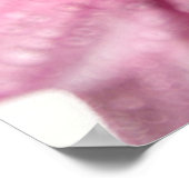 Pink Daisy Poster (Ecke)