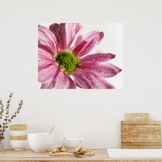 Pink Daisy Poster (Küche)