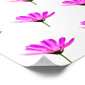 Pink Daisy Poster (Ecke)