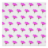 Pink Daisy Poster (Vorderseite)