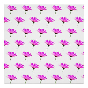 Pink Daisy Poster