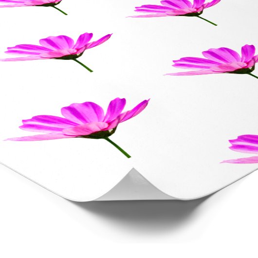 Pink Daisy Poster (Ecke)