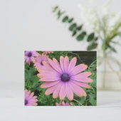 Pink Daisy Postkarte (Stehend Vorderseite)