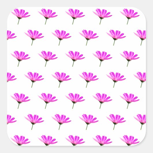 Pink Daisy Quadratischer Aufkleber (Vorderseite)