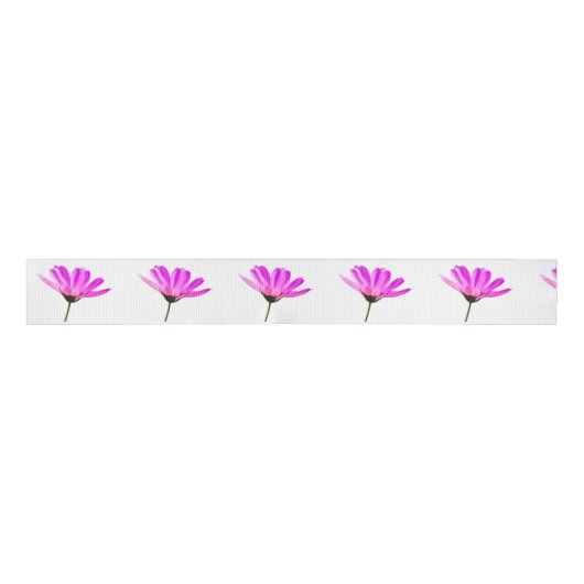 Pink Daisy Ripsband (Vorderseite)