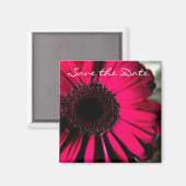 Pink Daisy Save the Date Magnet (Vorderseite/Rückseite)