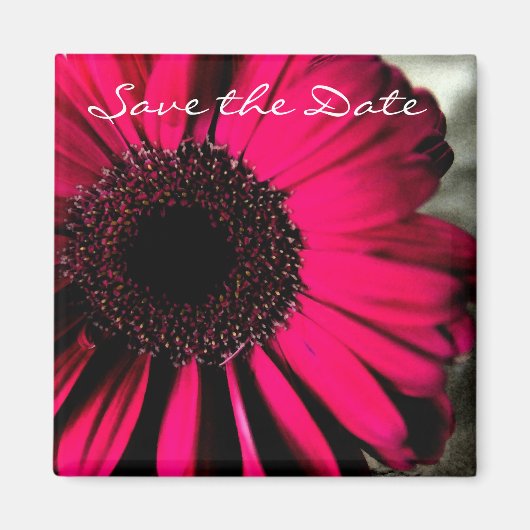 Pink Daisy Save the Date Magnet (Vorne)