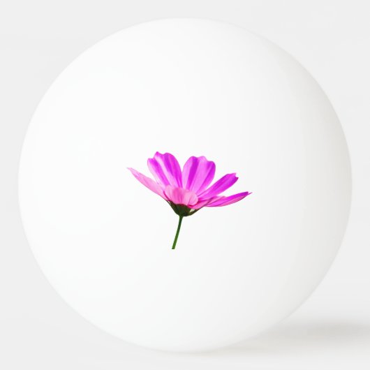 Pink Daisy Tischtennisball (Vorderseite)