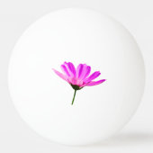 Pink Daisy Tischtennisball (Rückseite)